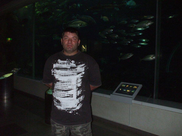 Александр Королев