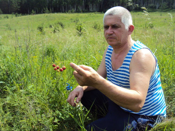 Николай Ильин