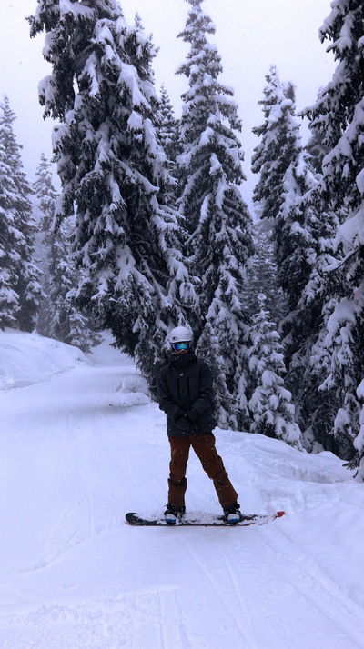 Григорий-Skorpion Зацепин