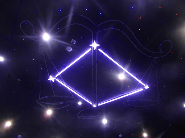 Елена Свигурова