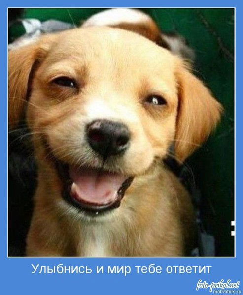 Любовь Абишева