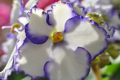 Наталья Мороз