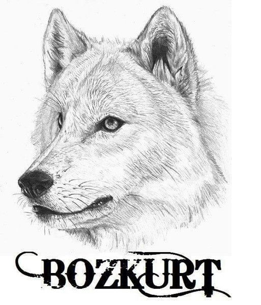 Серый Волк Бозкурт