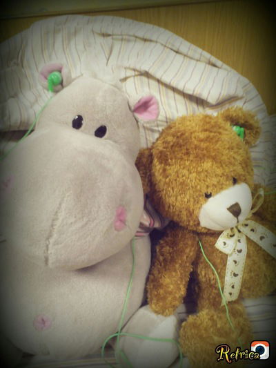 Василиса Маравенко