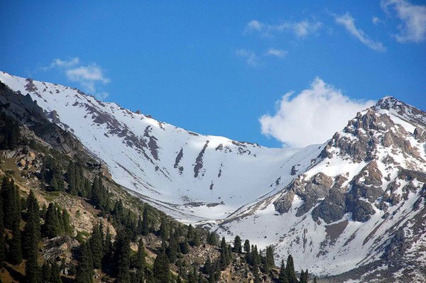 Алмалинскийозисп Алматы