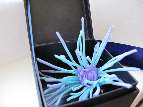 Светлана Смирнова