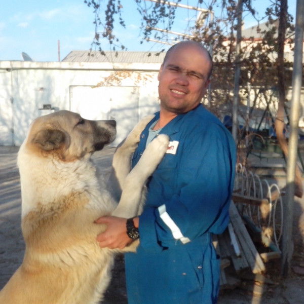 Карлыев Гарлы