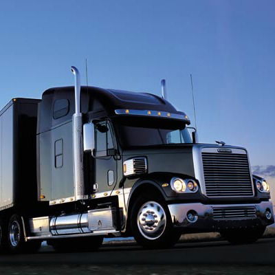 Светлана Александровна