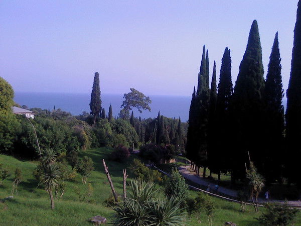 Сергей Мигачёв