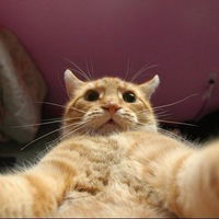 Маша Тишина