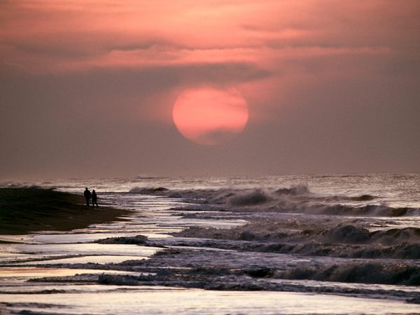 Сергей Денежкин