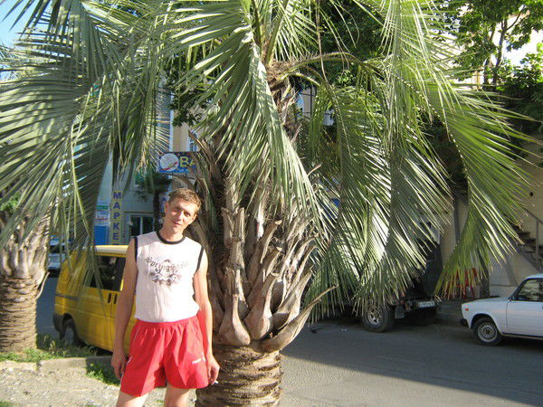 Алексей Гриневский