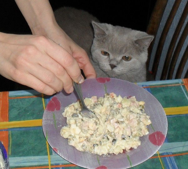 Станислав Корольков