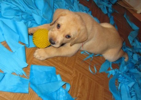 Ирина Кружалина