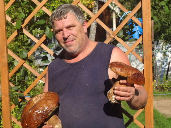 Алексей Соколов