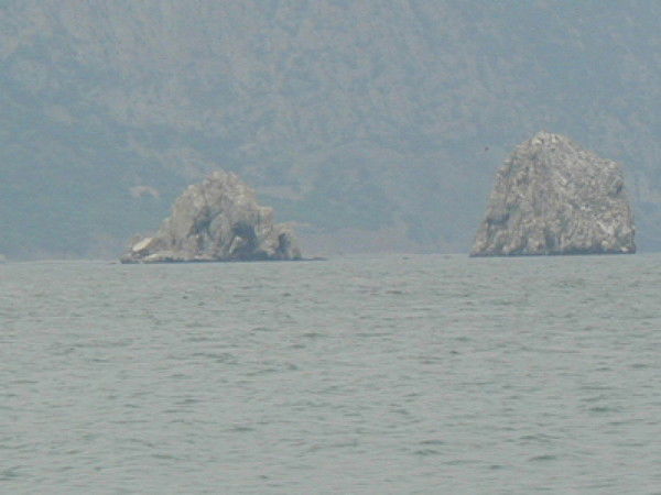 Анастасия Кулагина