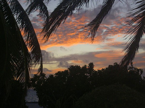 Елена Наумова