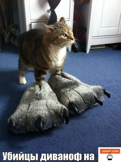 Маторов Игор