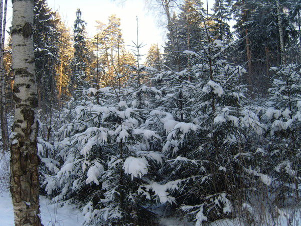 Вадим Кожевников