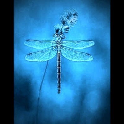 Ева Попандопуло