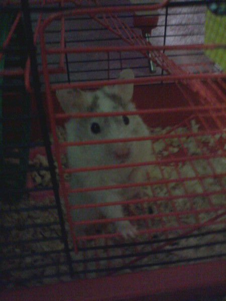 Дарья Бахарева