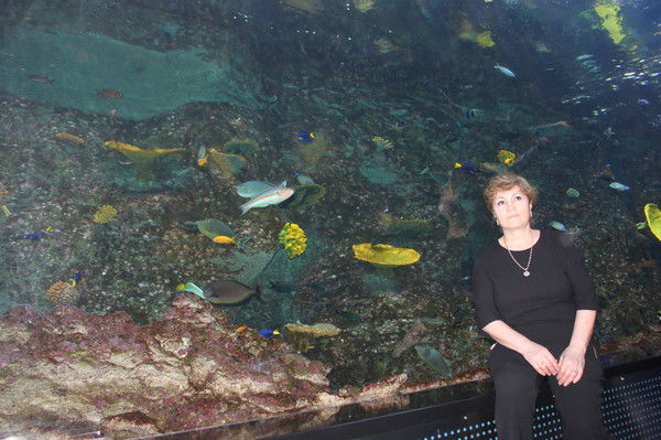 Софья Абышова