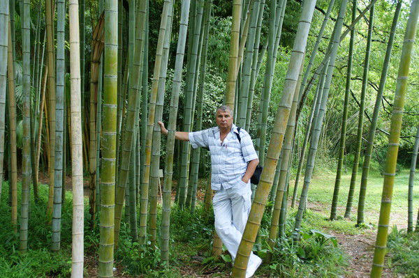 Михаил Корогод