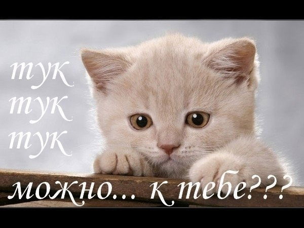 Артур Мизитов