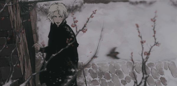 Тэфли Браунфельс