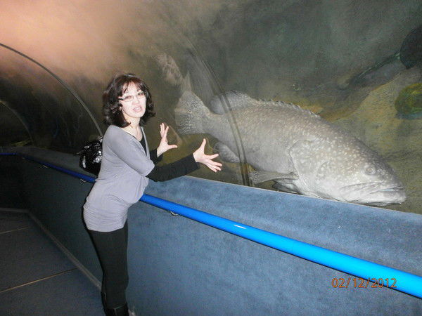 Айжан Ишмухаметова