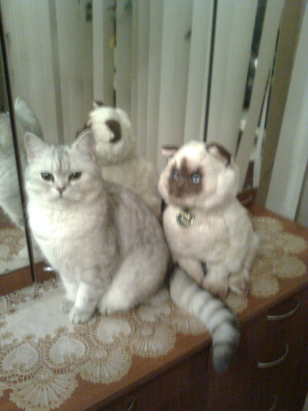 Елена Буторина