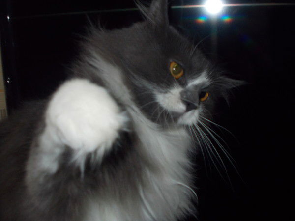 Настя Милосердова