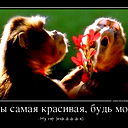 Роман Черемисов