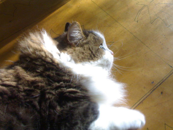 Наталья Смирнова