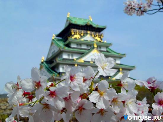 Бибигуль Ауельбекова