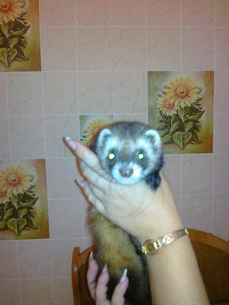 Ирина Филистеева