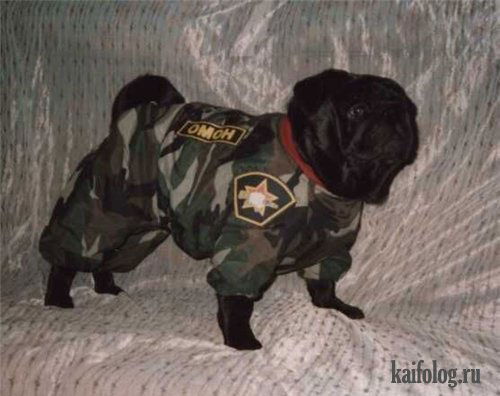 Максим Еремкин