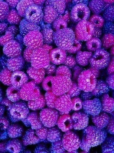 Соня Бессолова