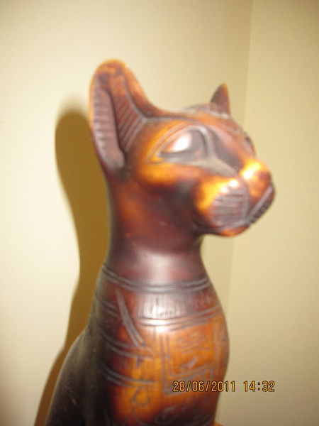 Юля Носенко