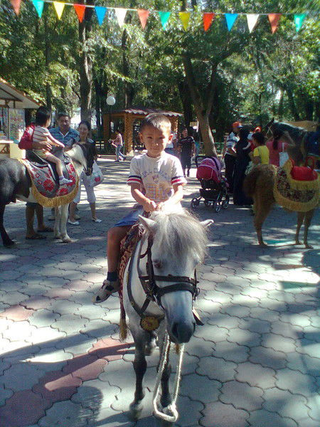 Адлет Оразбек