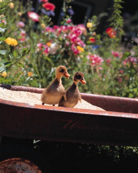 Татьяна Пальчикова