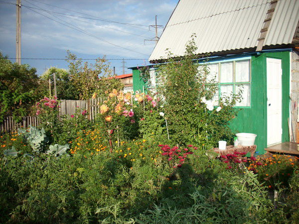 Ольга Малюгина