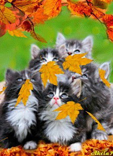 Ирина Колбасова