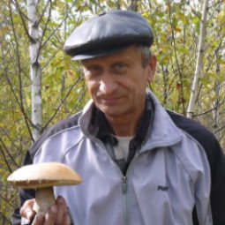 Владимир Зорин