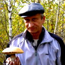 Владимир Зорин