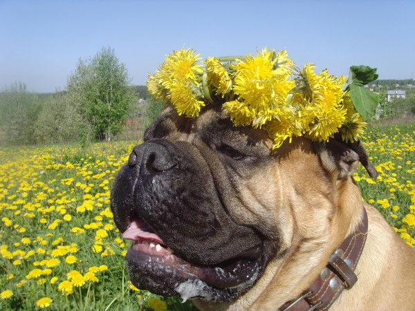 Лилиана Барышева