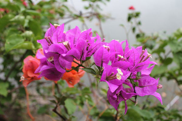 Ирина Жданова