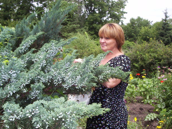 Алла Павлова