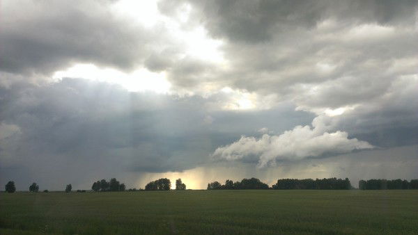 Cерега Tуренко