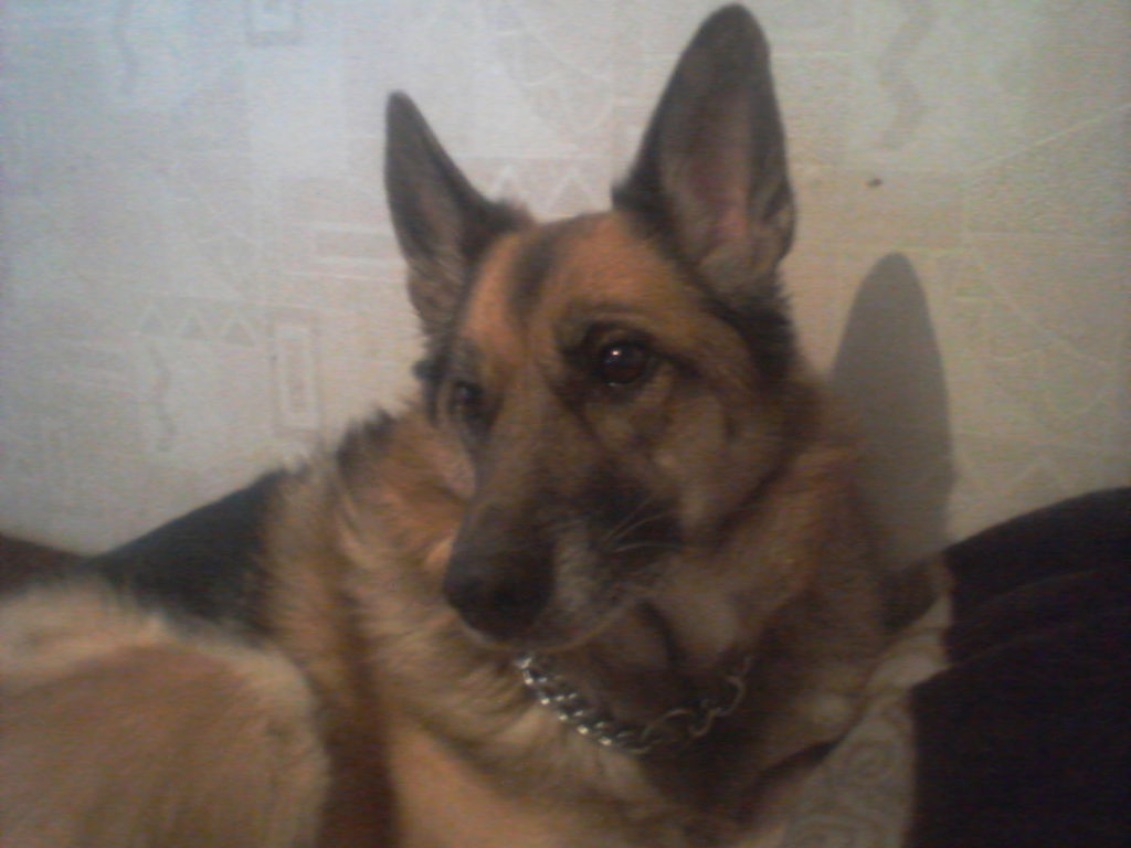 Марина Галушкина